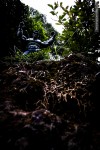 hulk top of rocks