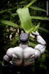 hulk dew leaf