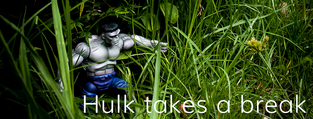 Hulk takes a break poster