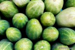 fresh cucumbers