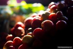 ripe tomatoes