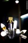 danbo lights