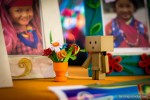 danbo flower