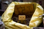 beans danbo