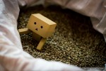 danbo grains