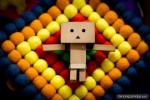 danbo patterns
