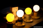 bulbs danbo