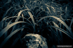 metal gear solid snake godavari botanical garden