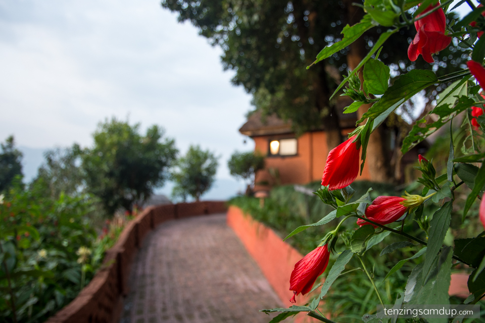 The Flowers of Dhulikhel Mountain Resort